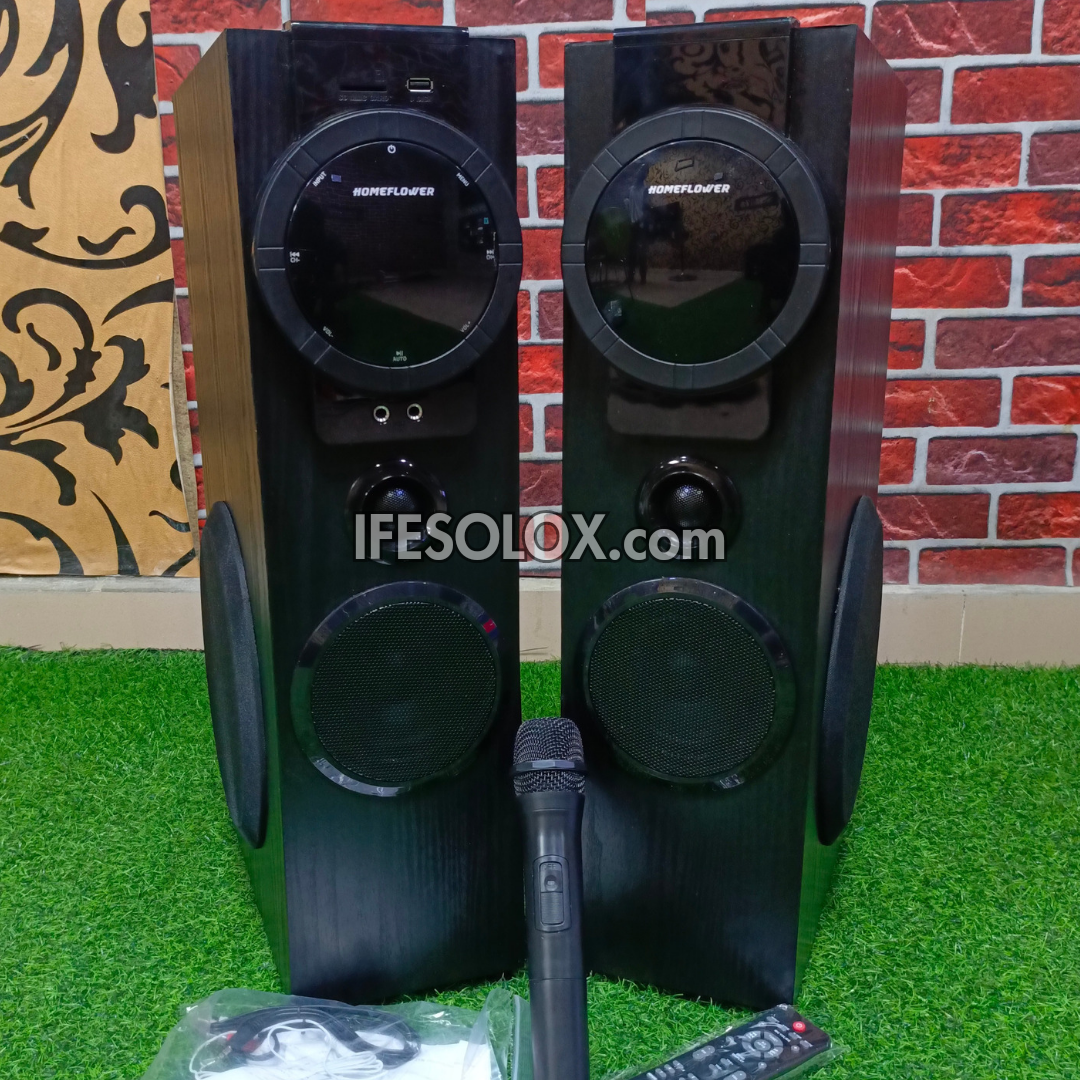 HomeFlower HF-2201 Système audio HiFi Bodyguard Bluetooth haute puissance puissant - Tout neuf
