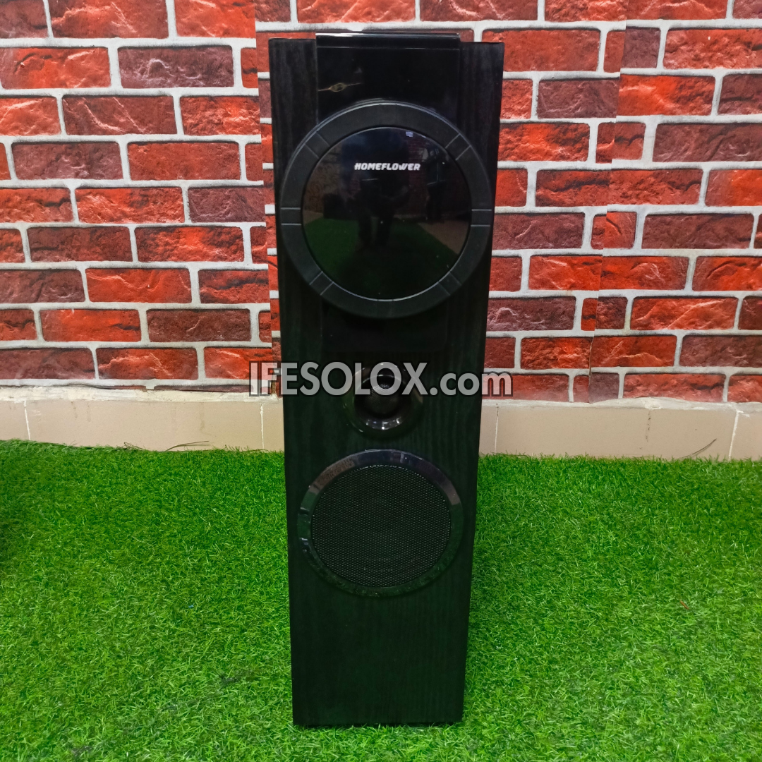 HomeFlower HF-2201 Système audio HiFi Bodyguard Bluetooth haute puissance puissant - Tout neuf