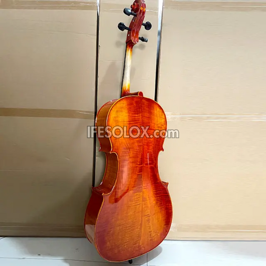 CLASSIC 4/4 Professional Cello with Hard Case, Bow and Rosin - Brand New