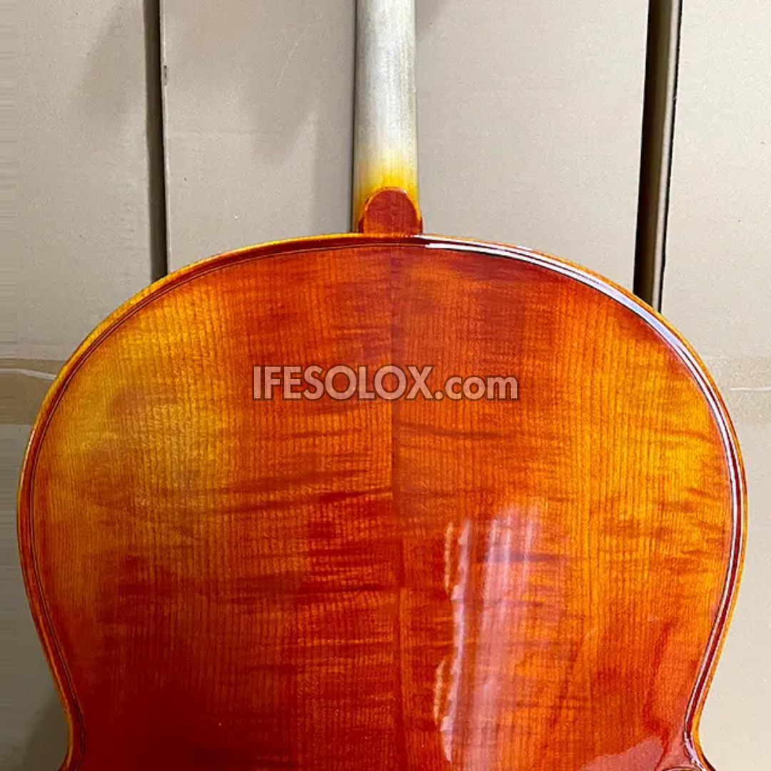 CLASSIC 4/4 Professional Cello with Hard Case, Bow and Rosin - Brand New