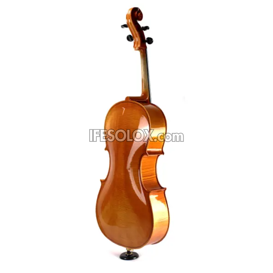 Concert 4/4 Professional Cello with Hard Case, Bow and Rosin - Brand New