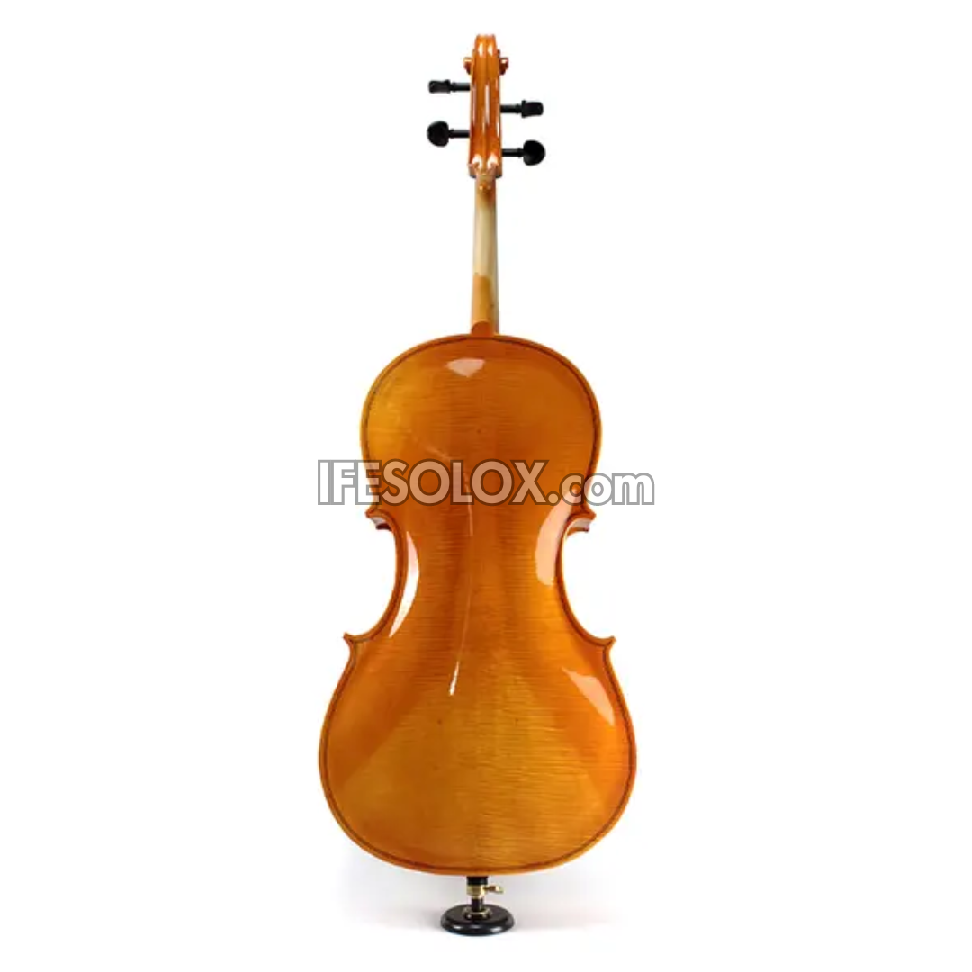 Concert 4/4 Professional Cello with Hard Case, Bow and Rosin - Brand New
