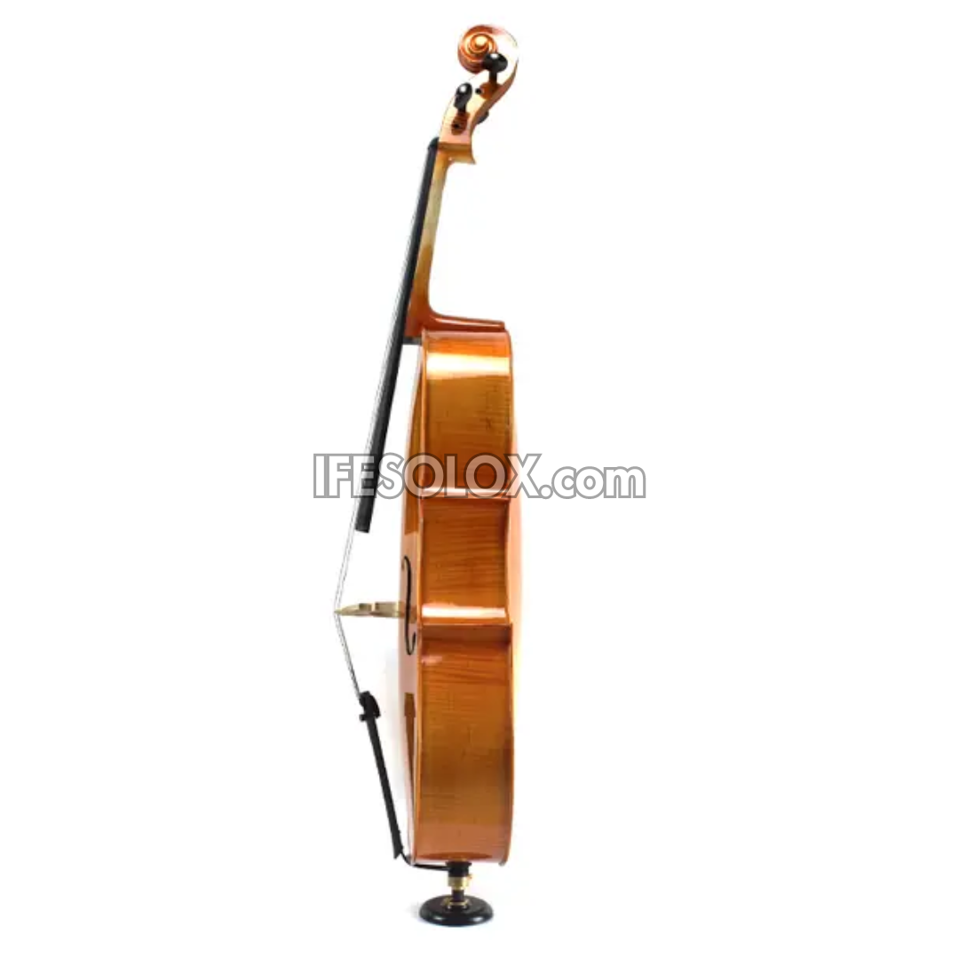 Concert 4/4 Professional Cello with Hard Case, Bow and Rosin - Brand New