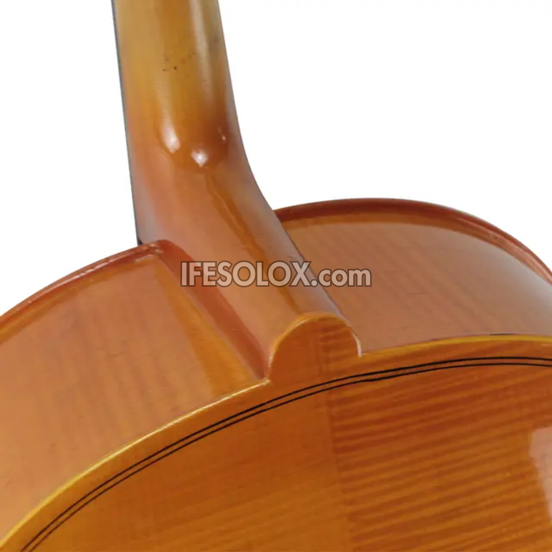 Concert 4/4 Professional Cello with Hard Case, Bow and Rosin - Brand New