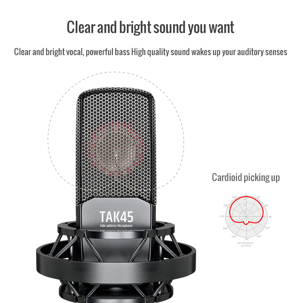 TAKSTAR TAK45 Studio Recording Condenser Microphone - Brand New