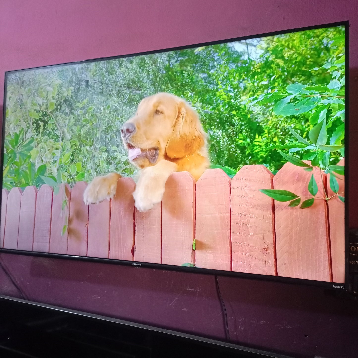 Téléviseur LED Hisense Roku Smart 4K UHD 55 pouces (WiFi intégré, Miracast) - Occasion à l'étranger