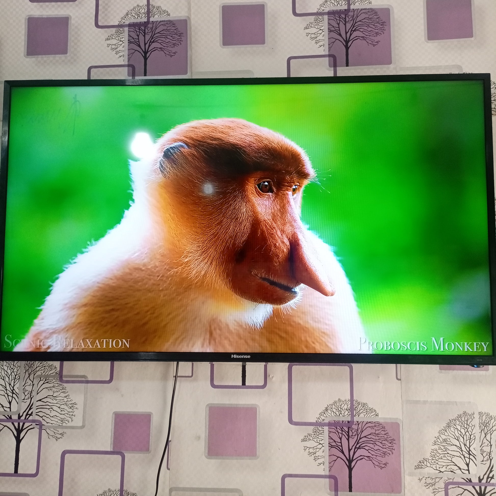 Hisense 49 inch VIDAA Smart 4K UHD LED TV (Built-in WiFi, Miracast) - Front View