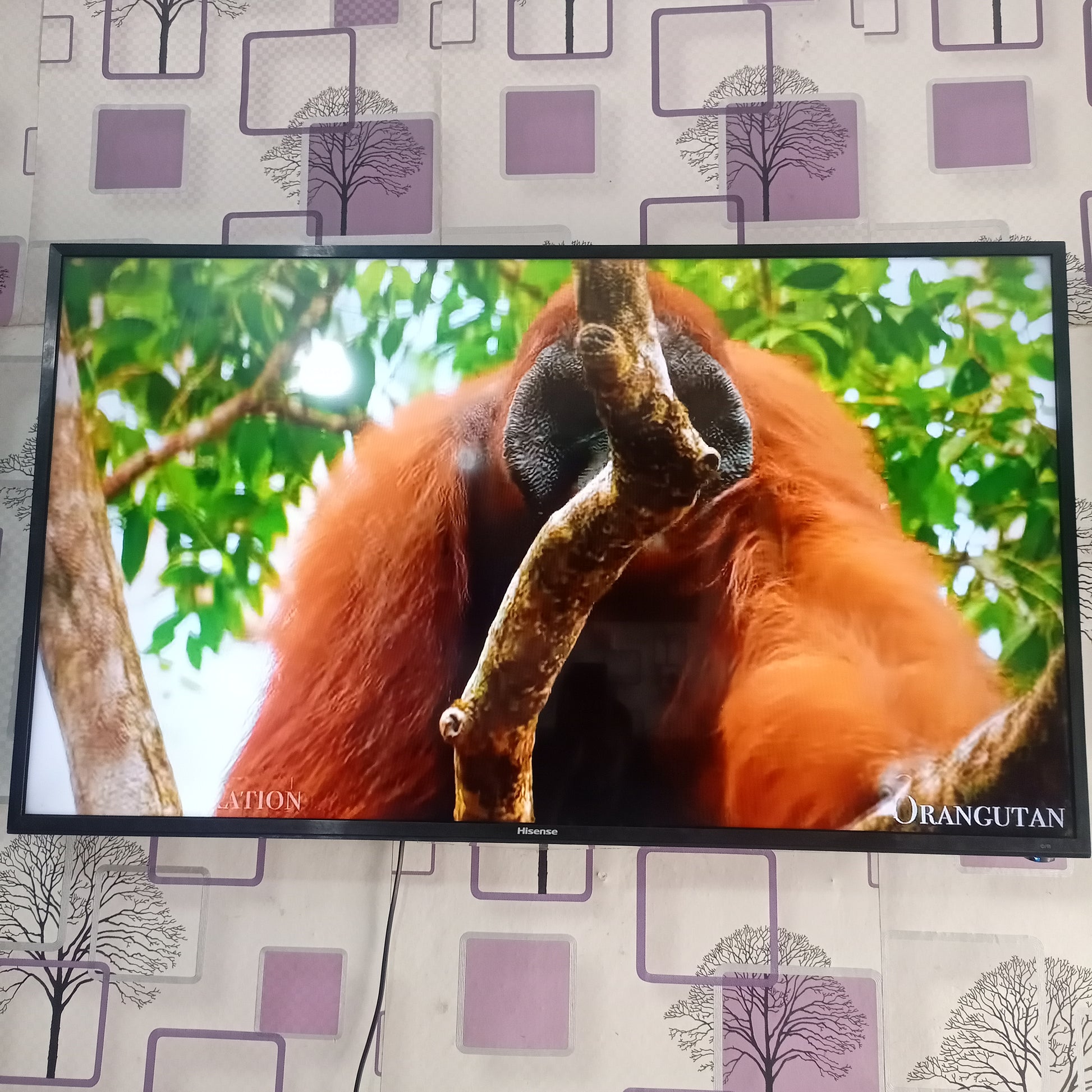 Hisense 49 inch VIDAA Smart 4K UHD LED TV (Built-in WiFi, Anyview) - London Used