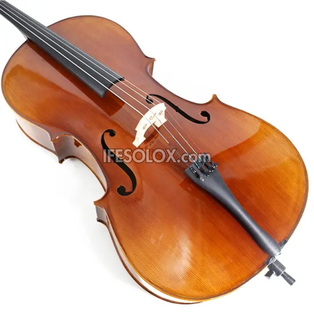 STRING INSTRUMENTS IFESOLOX