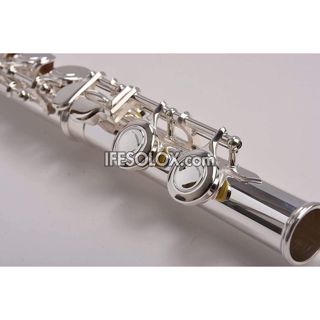 Professional Silver C Flute Complete Set for Orchestras and Concerts - Brand New