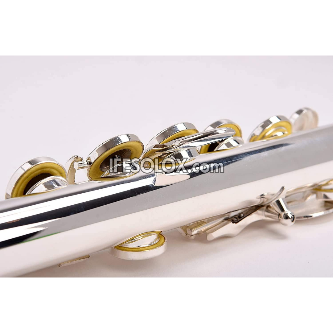 Professional Silver C Flute Complete Set for Orchestras and Concerts - Brand New