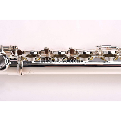 Professional Silver C Flute Complete Set for Orchestras and Concerts - Brand New