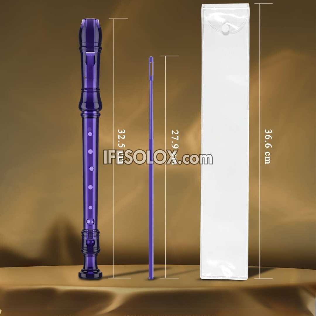 Transparent Purple Recorder Instrument for Schools, Beginners and Stud ...