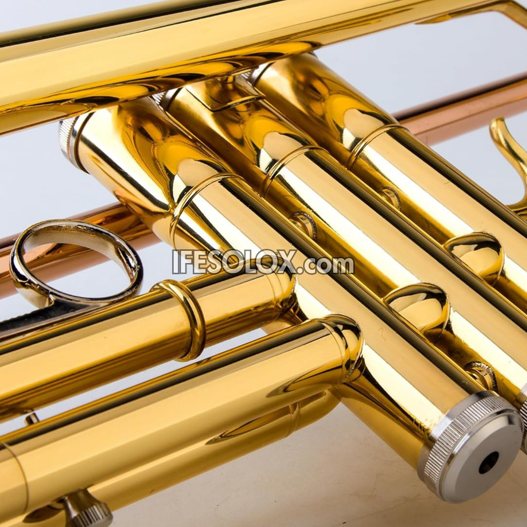 Gold B-Flat Trumpet Set for Beginners, Professionals and Concerts - Brand New