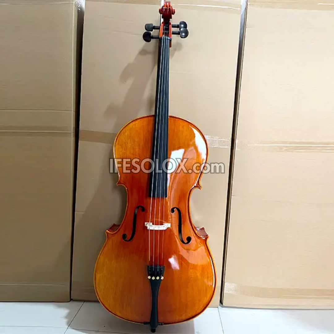 CLASSIC 4/4 Professional Cello with Hard Case, Bow and Rosin - Brand New