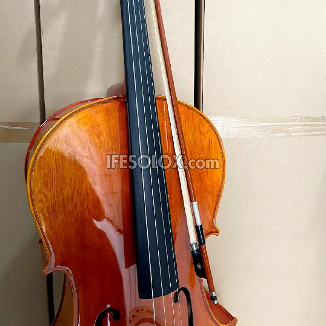 CLASSIC 4/4 Professional Cello with Hard Case, Bow and Rosin - Brand New