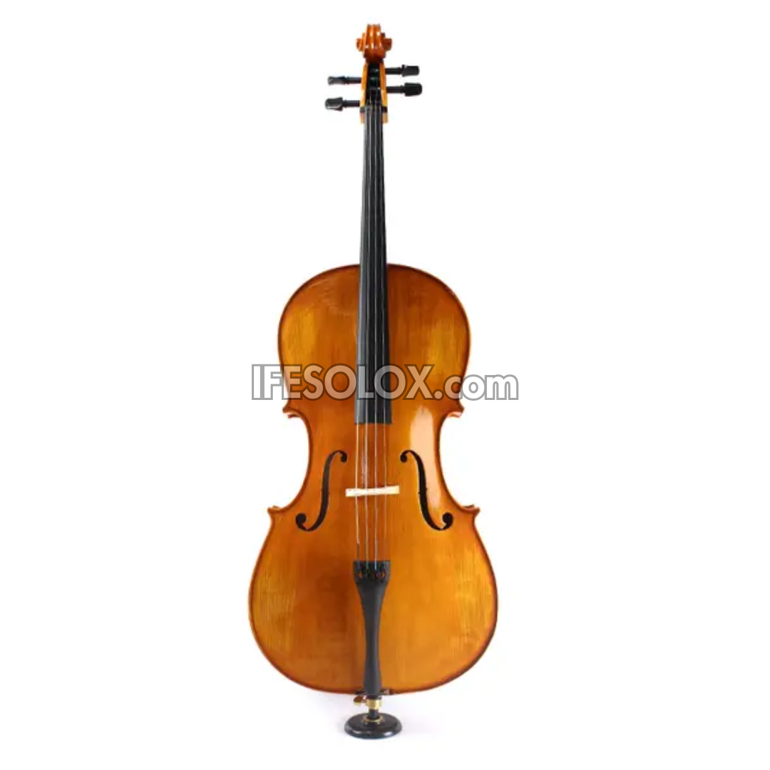 Concert 4/4 Professional Cello with Hard Case, Bow and Rosin - Brand New