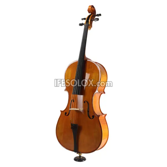 Concert 4/4 Professional Cello with Hard Case, Bow and Rosin - Brand New