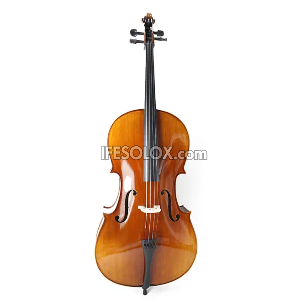 Premium 4/4 Professional Cello with Hard Case, Bow and Rosin - Brand New 