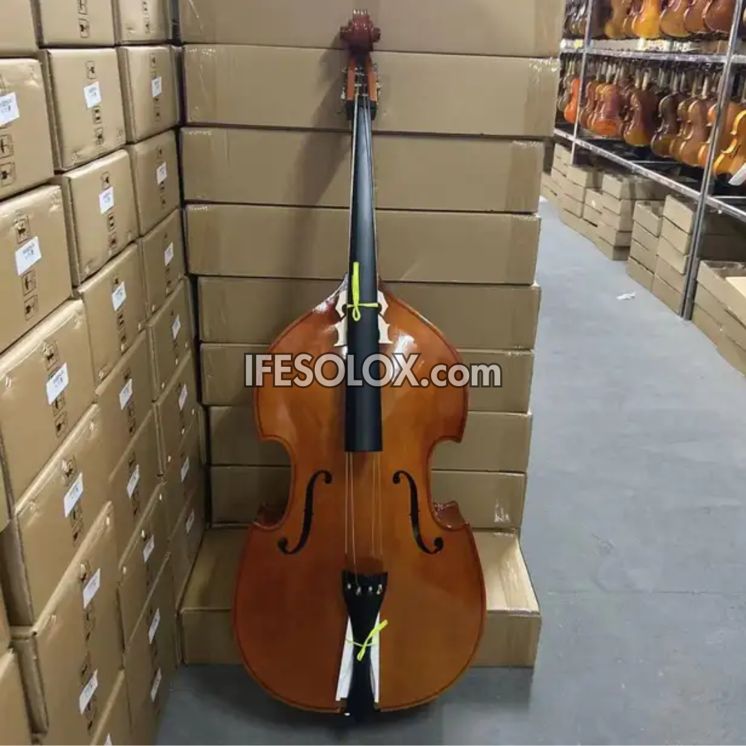 Concert Double Bass for Professionals with Bow, Rosin and a Hardcase (Sparkling Brown) - Brand New