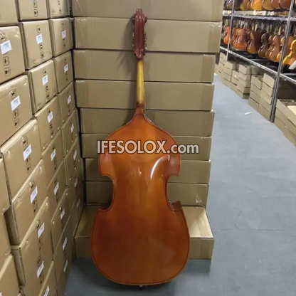 Concert Double Bass for Professionals with Bow, Rosin and a Hardcase (Sparkling Brown) - Brand New