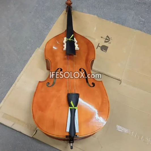 Concert Double Bass for Professionals with Bow, Rosin and a Hardcase (Sparkling Brown) - Brand New