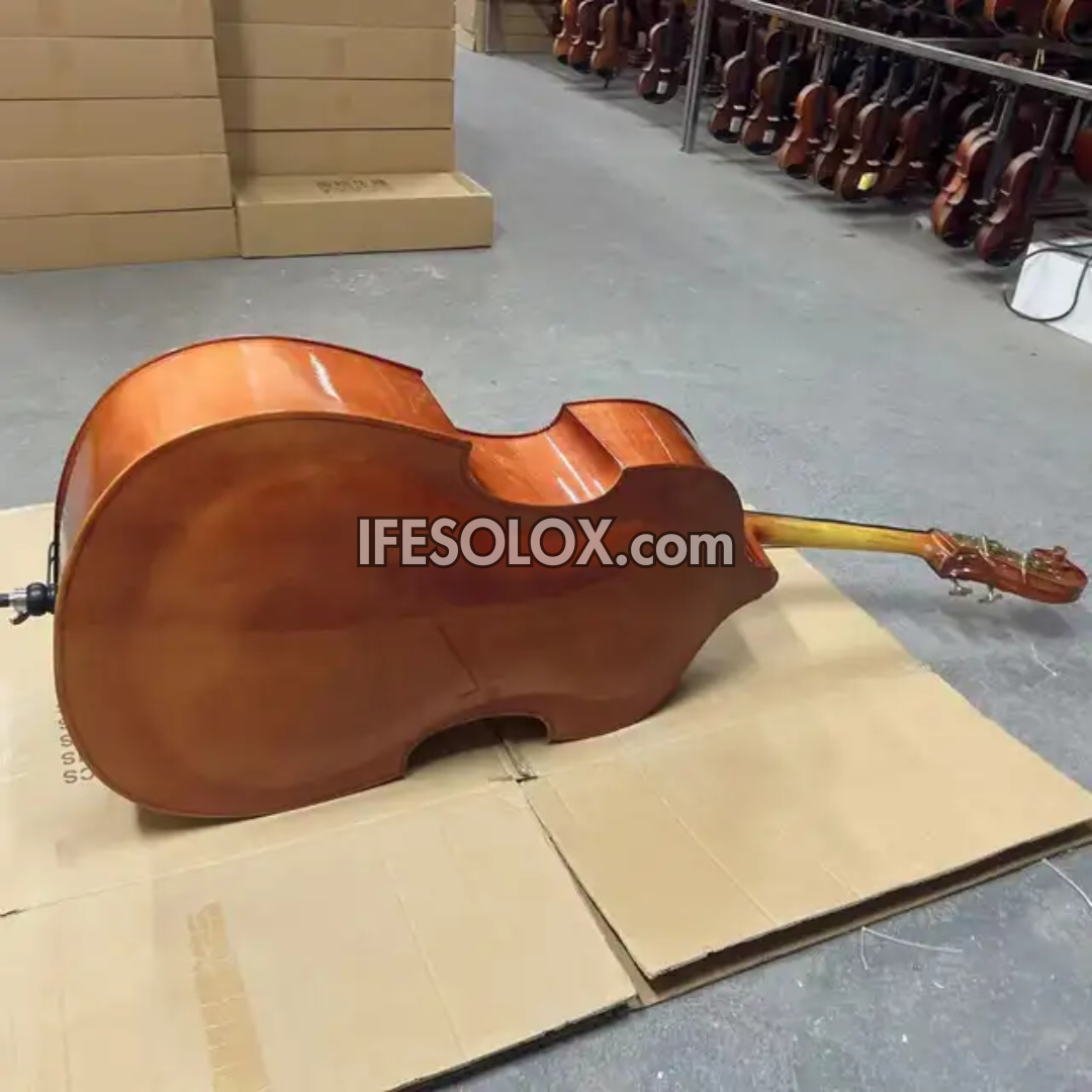 Concert Double Bass for Professionals with Bow, Rosin and a Hardcase (Sparkling Brown) - Brand New