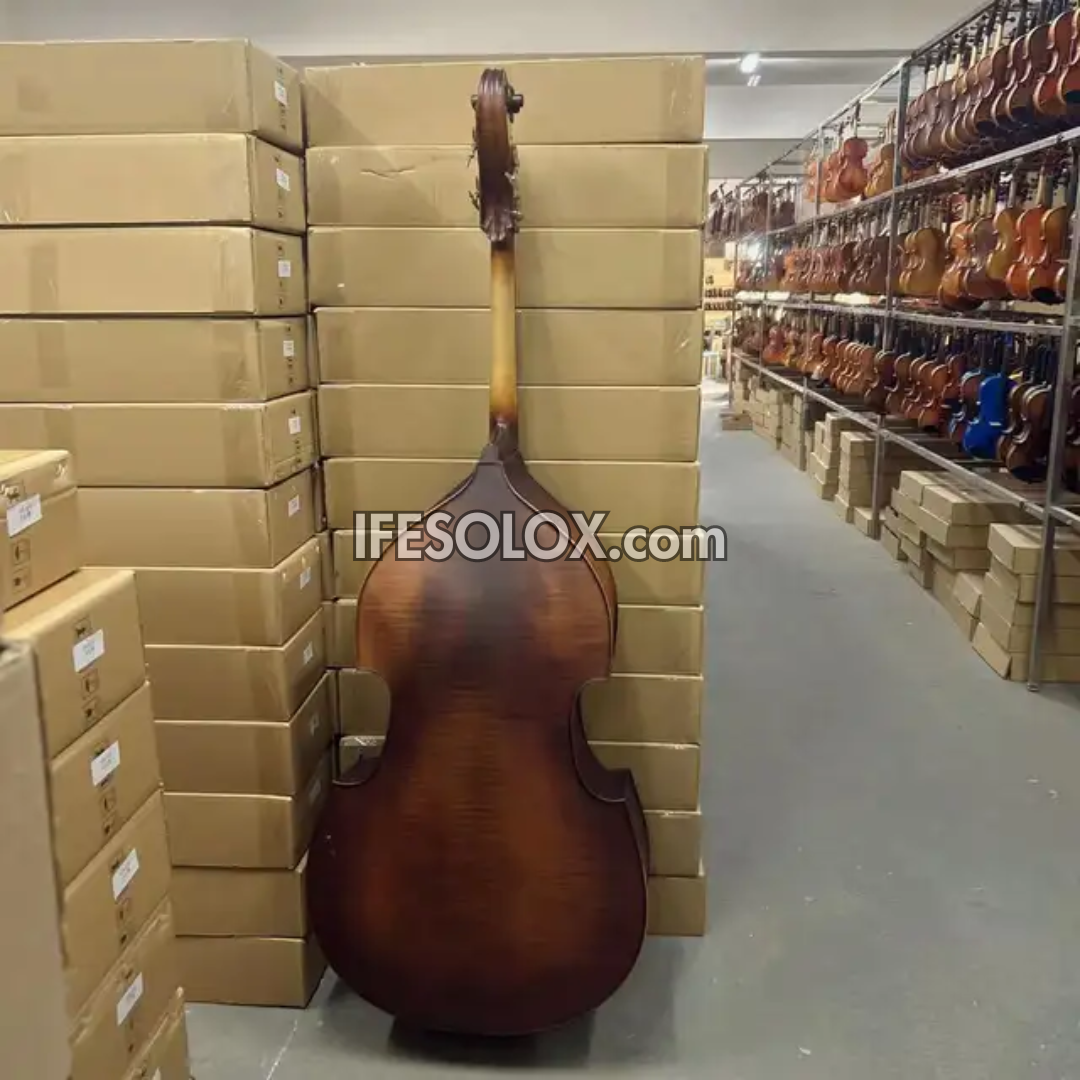 Concert Double Bass for Professionals with Bow, Rosin and a Hardcase (Vintage Brown) - Brand New