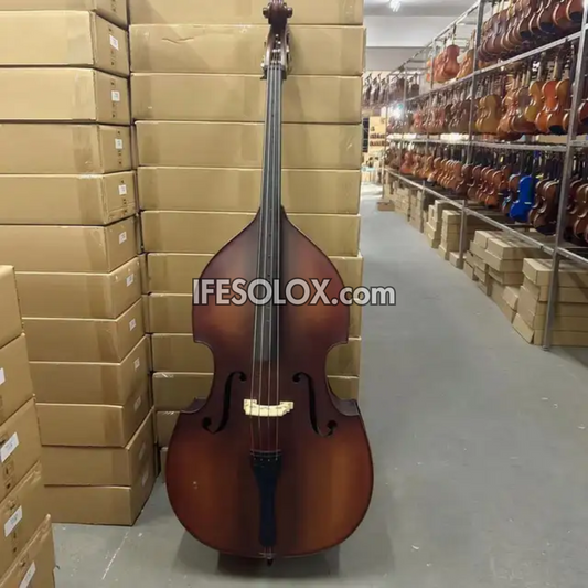 Concert Double Bass for Professionals with Bow, Rosin and a Hardcase (Vintage Brown) - Brand New