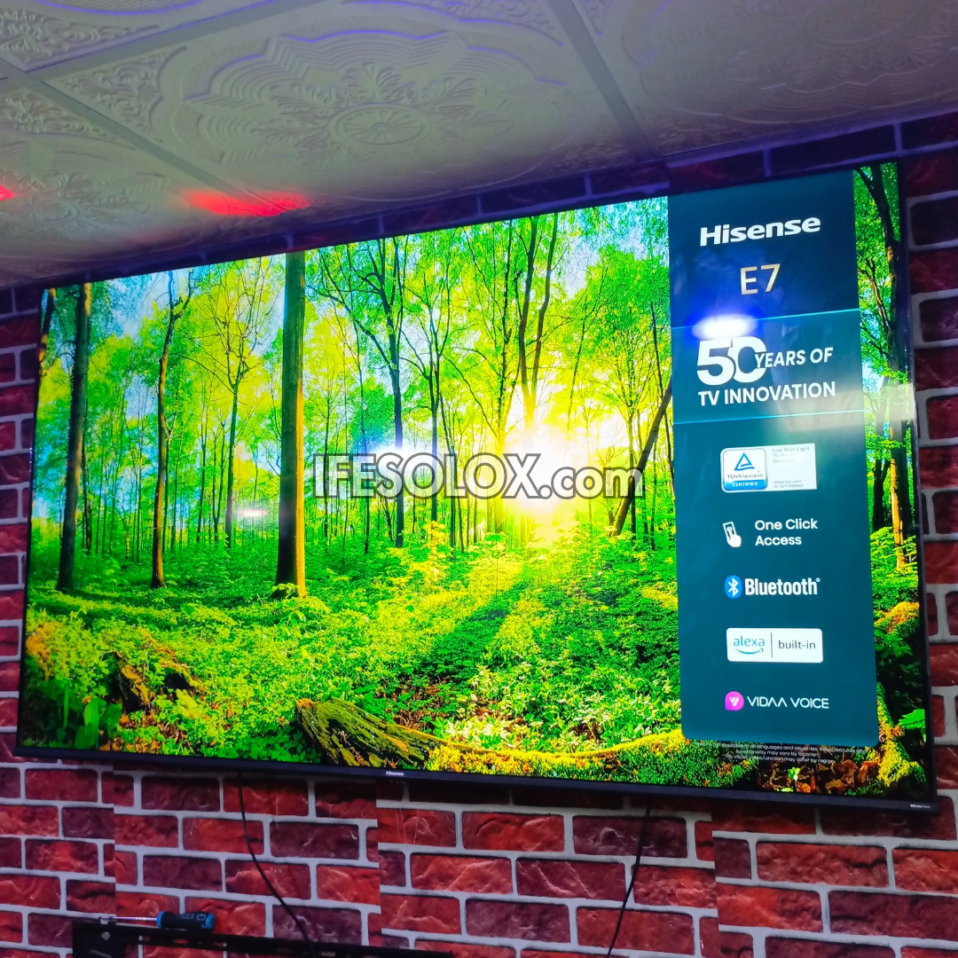 Hisense TV displaying a nature scene with branding and website information.