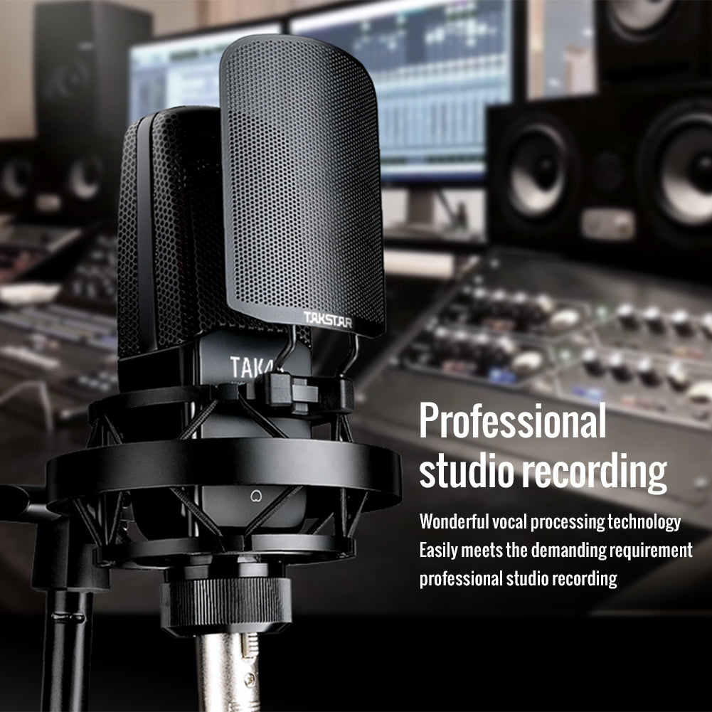 TAKSTAR TAK45 Studio Recording Condenser Microphone - Brand New