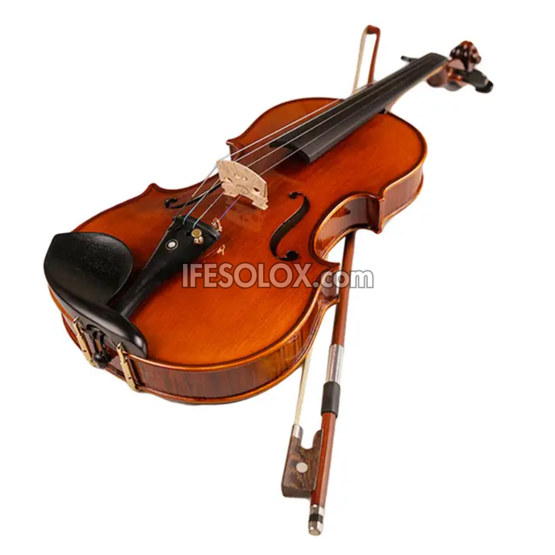 Premium 4/4 Professional Viola for Students/ Beginners with Hard Case, Bow and Rosin - Brand New