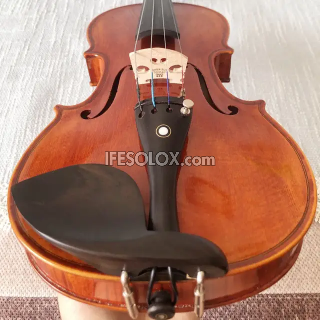 Premium 4/4 Professional Viola for Students/ Beginners with Hard Case, Bow and Rosin - Brand New