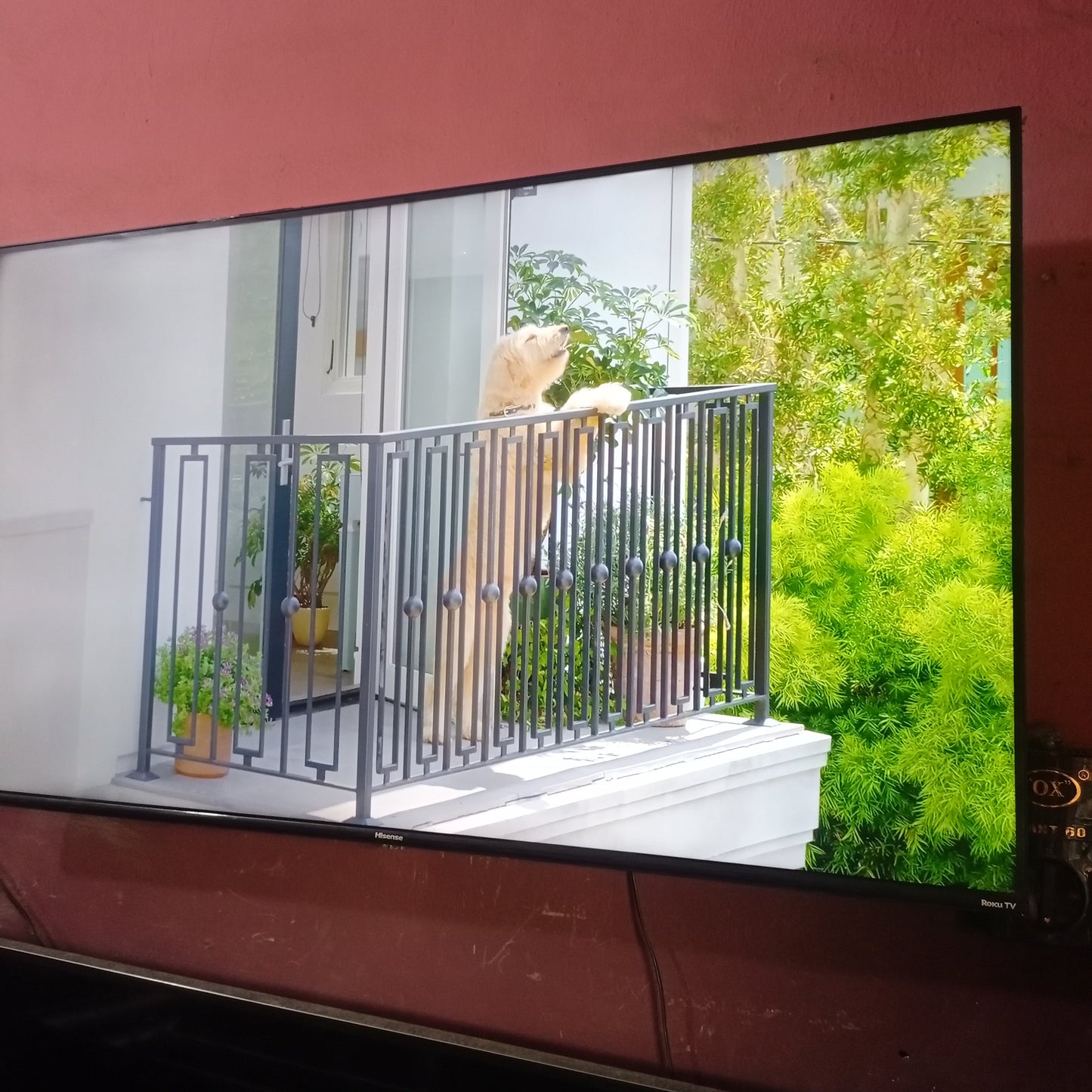 Téléviseur LED Hisense Roku Smart 4K UHD 55 pouces (WiFi intégré, Miracast) - Occasion à l'étranger