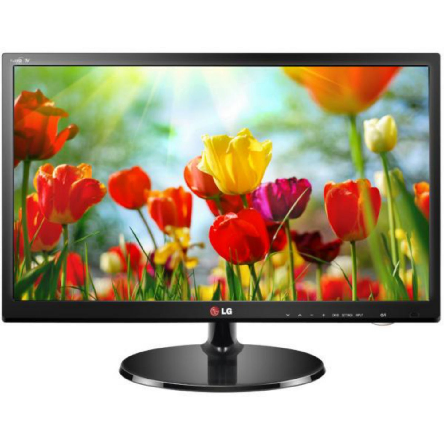 LG 24 Inch 24MN43D-PZ Full HD LED TV - Front View